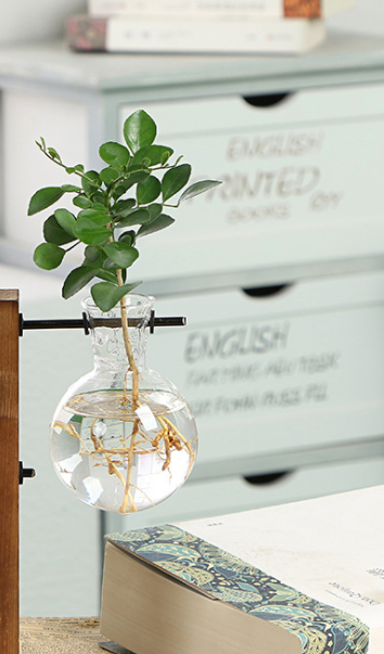 Creative Wooden Hydroponic Glass Vase