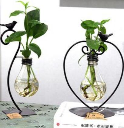 Hydroponic Plant Vessel with Steel Stand