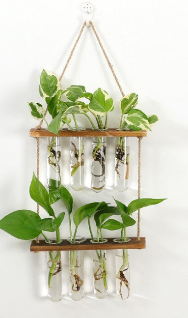 Wall Hanging Terrarium Flower Glass Planter