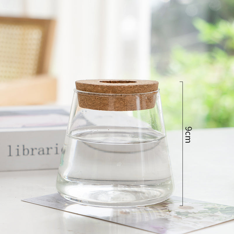 Transparent Simple Hydroponic Glass Vase