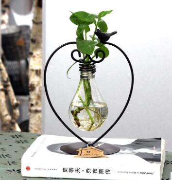 Hydroponic Plant Vessel with Steel Stand