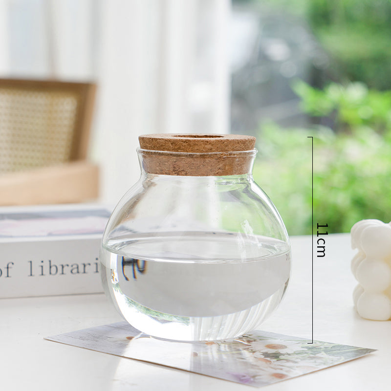 Transparent Simple Hydroponic Glass Vase